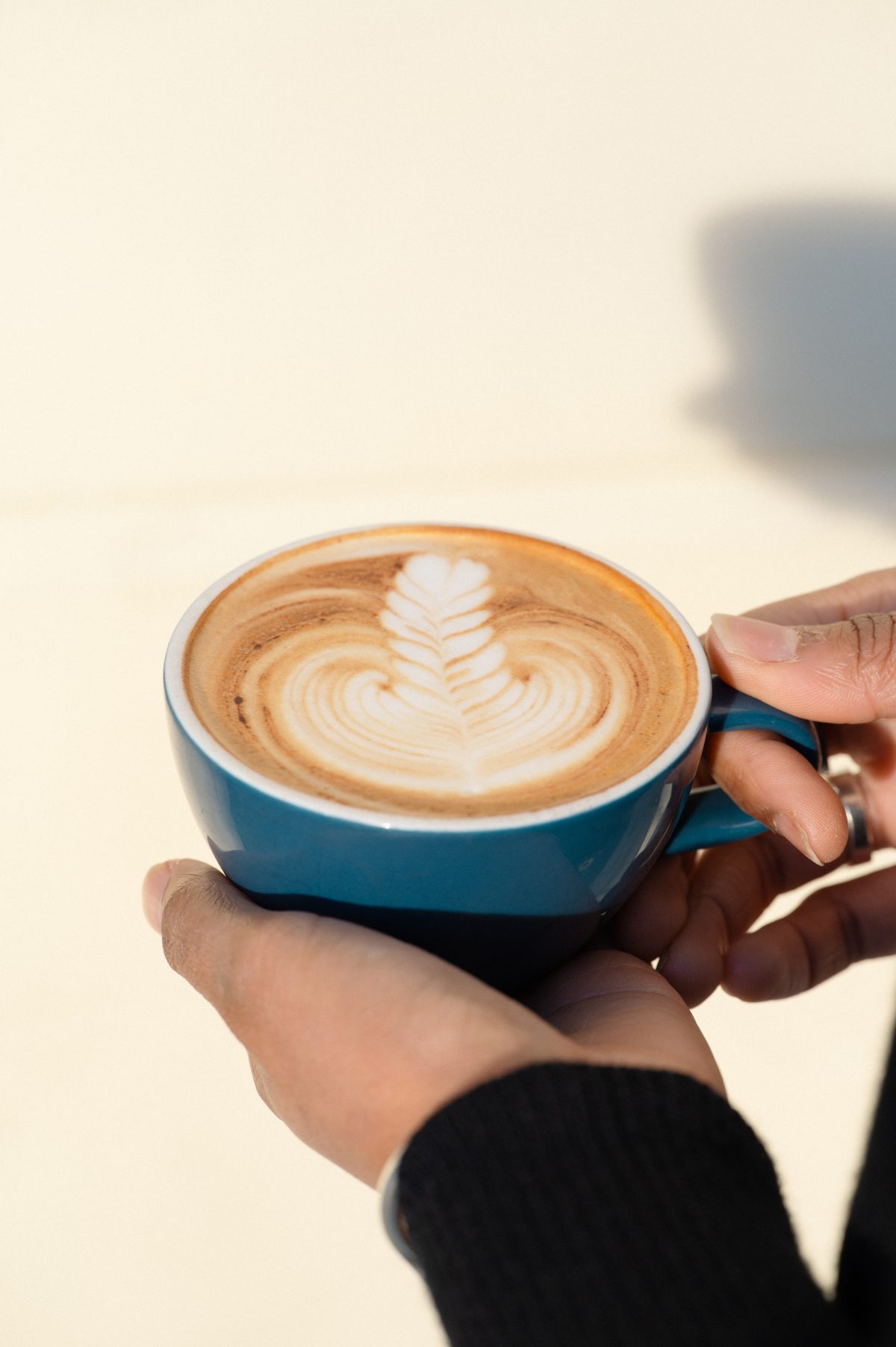 Shakespearecompany 76