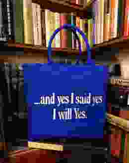 Ulysses tote 2