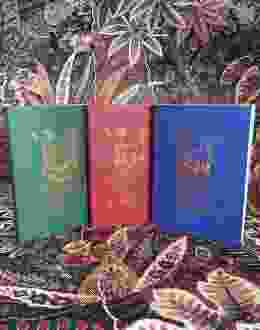 Nb a6 notre dame all colours